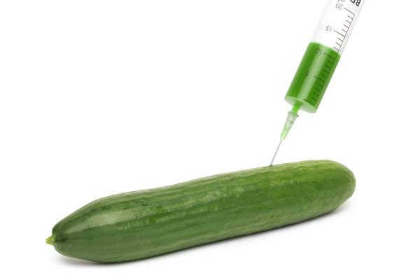 Quels sont les changements de règles pour le Prix d'Amérique PMU 2024 ?