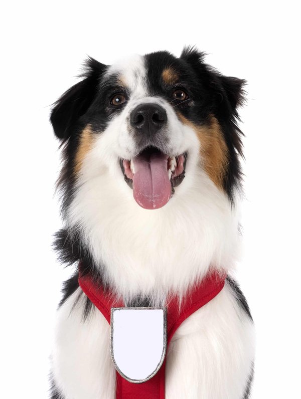 Quels sont les essentiels pour créer un atelier de customisation de vêtements avec des techniques de broderie ?