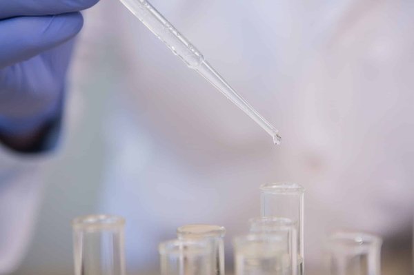 Quelle est l'importance de l'expérimentation formelle chez Raymond Queneau ?