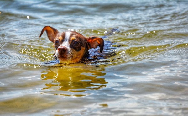 Comment démarrer une carrière de coach sportif ?