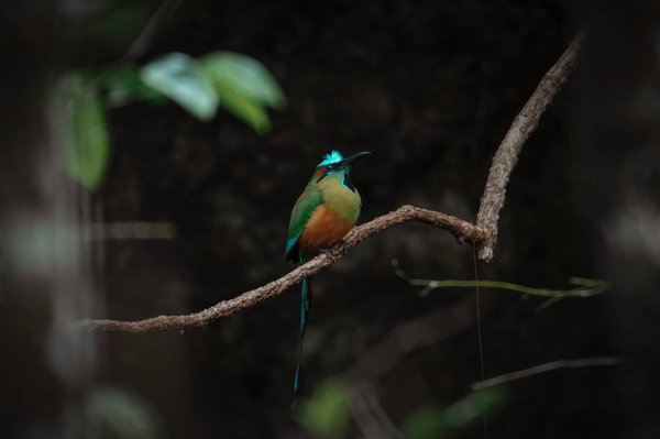 Quels sont les règles de l'éthique ?